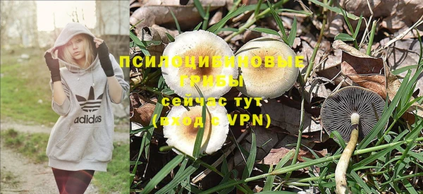 MDMA Premium VHQ Богданович