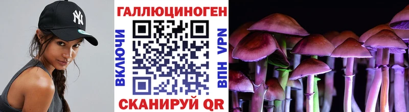 Галлюциногенные грибы GOLDEN TEACHER Нижнекамск